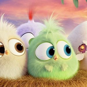 Meet your Posher, Jyan